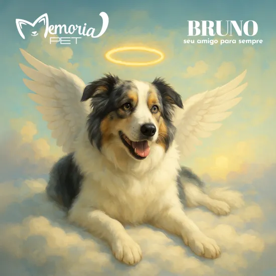 Anjinho Cão Bruno