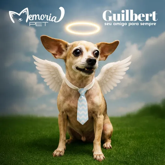 Anjinho Cão Guilbert