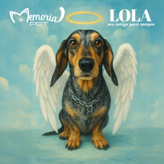 Anjinho Cão Lola