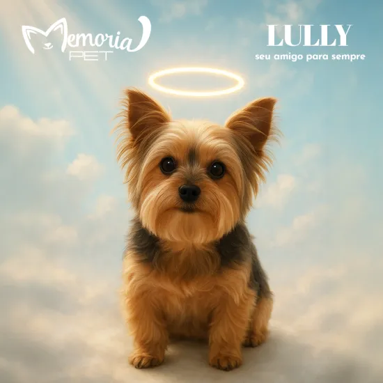 Anjinho Cão Lully