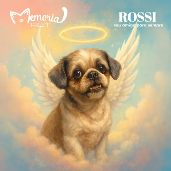 Anjinho Cão Rossy