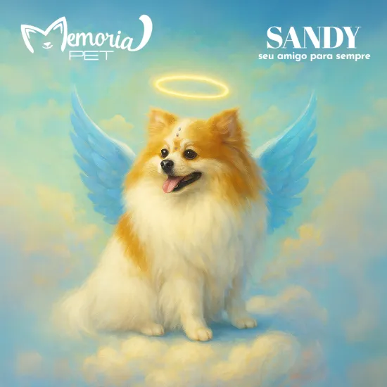Anjinho Cão Sandy