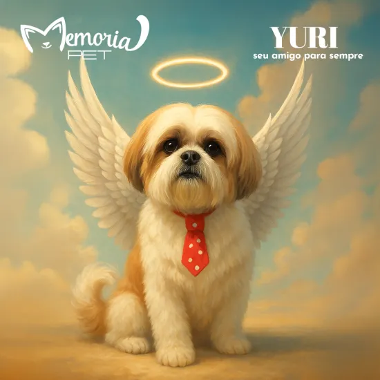 Anjinho Cão Yuri