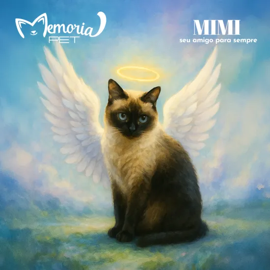 Anjinho Gata MIMI